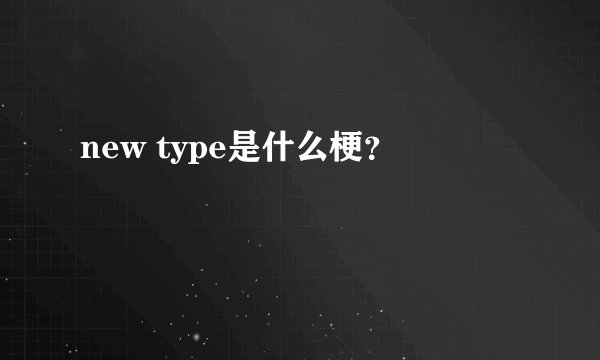 new type是什么梗？