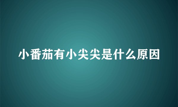 小番茄有小尖尖是什么原因
