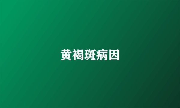 黄褐斑病因