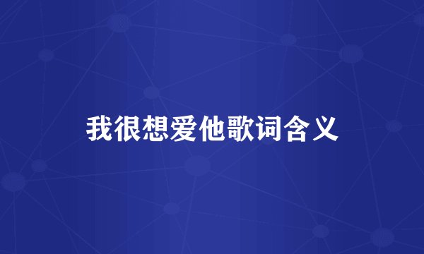 我很想爱他歌词含义
