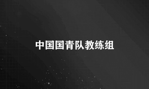 中国国青队教练组