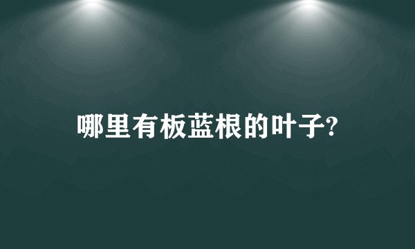 哪里有板蓝根的叶子?