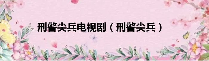 刑警尖兵电视剧(刑警尖兵)