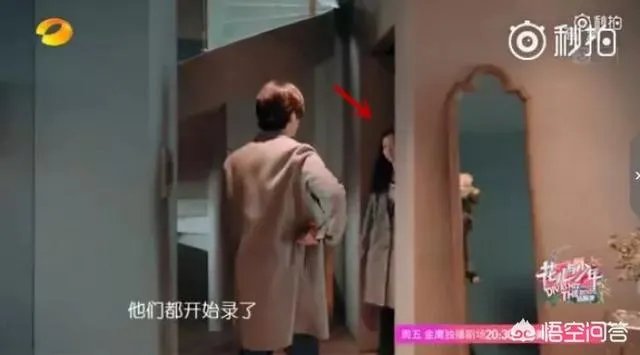 如何看待井柏然和倪妮的恋情？