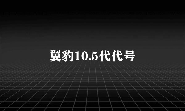 翼豹10.5代代号