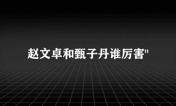 赵文卓和甄子丹谁厉害