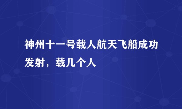 神州十一号载人航天飞船成功发射，载几个人