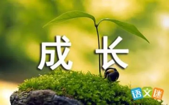 在快乐中成长