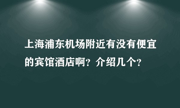 上海浦东机场附近有没有便宜的宾馆酒店啊?介绍几个?
