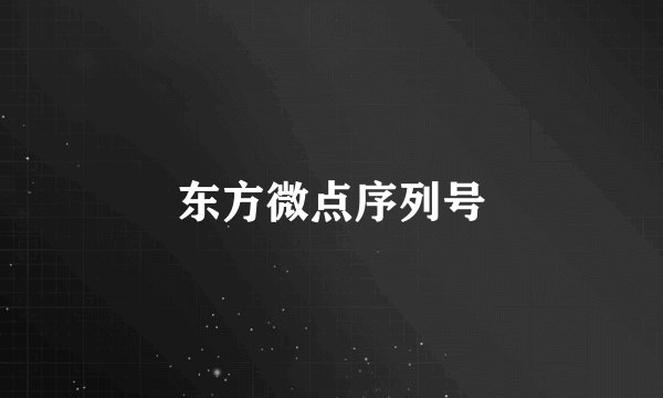 东方微点序列号