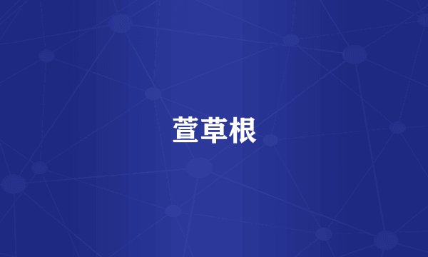 萱草根