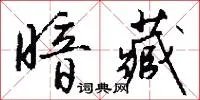 暗藏
