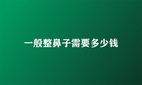 一般整鼻子需要多少钱