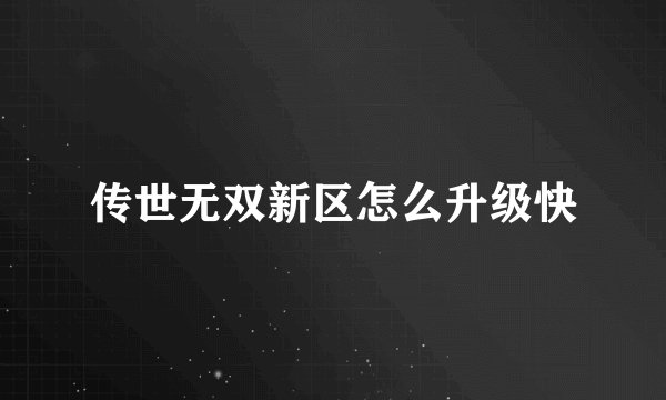 传世无双新区怎么升级快