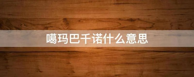 噶玛巴千诺什么意思