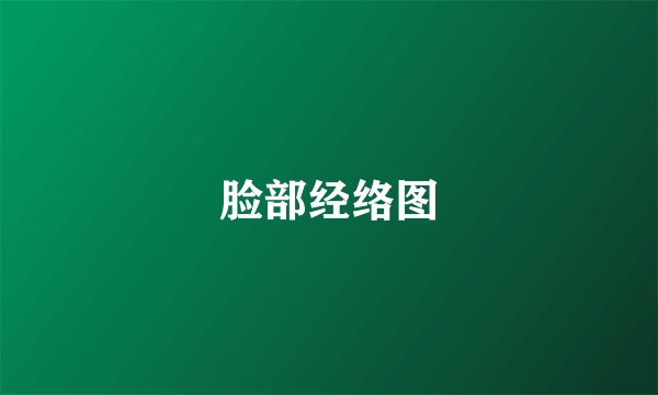 脸部经络图