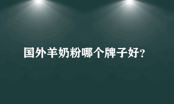 国外羊奶粉哪个牌子好？