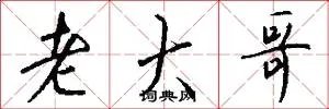 老大哥