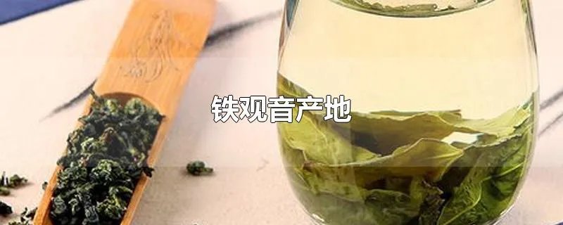铁观音产地
