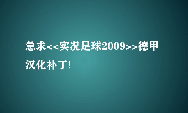 急求<<实况足球2009>>德甲汉化补丁!