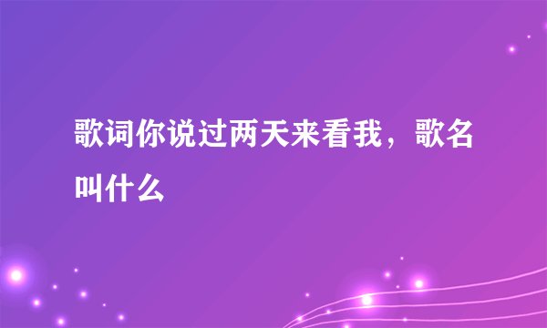 歌词你说过两天来看我,歌名叫什么
