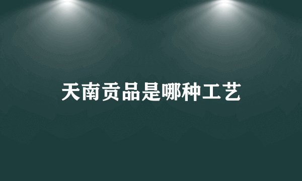 天南贡品是哪种工艺