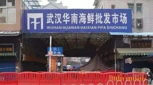 美国疫情是如何爆发的?