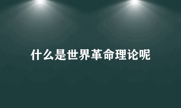 什么是世界革命理论呢