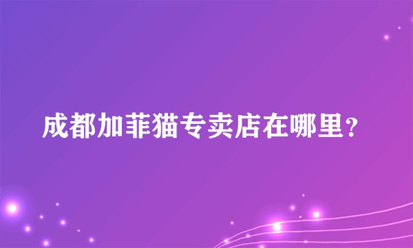 成都加菲猫专卖店在哪里？
