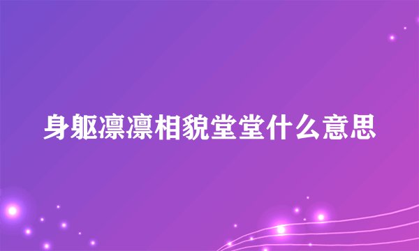 身躯凛凛相貌堂堂什么意思