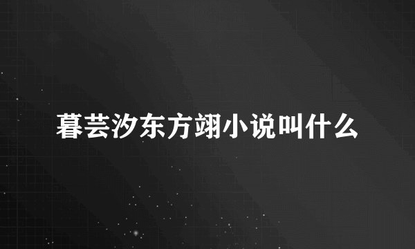暮芸汐东方翊小说叫什么