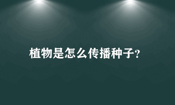植物是怎么传播种子？