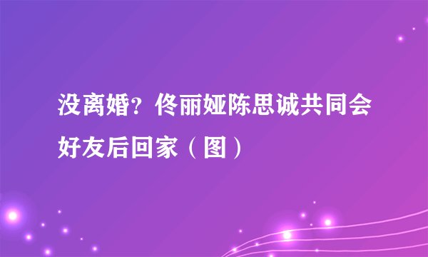 没离婚?佟丽娅陈思诚共同会好友后回家(图)