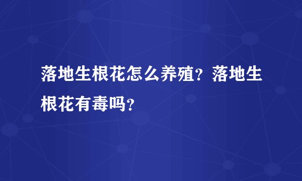 落地生根花怎么养殖？落地生根花有毒吗？