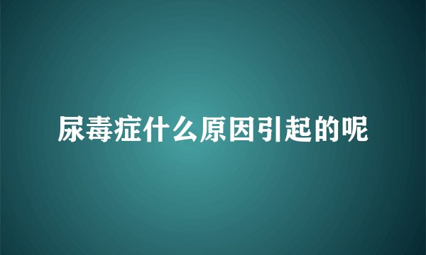 尿毒症什么原因引起的呢