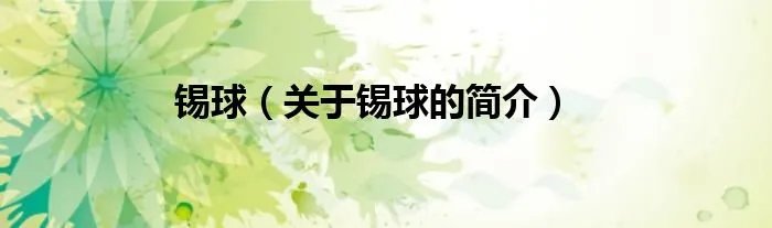 锡球（关于锡球的简介）