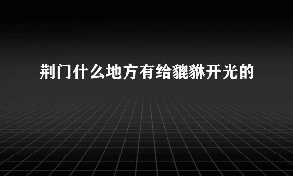 荆门什么地方有给貔貅开光的