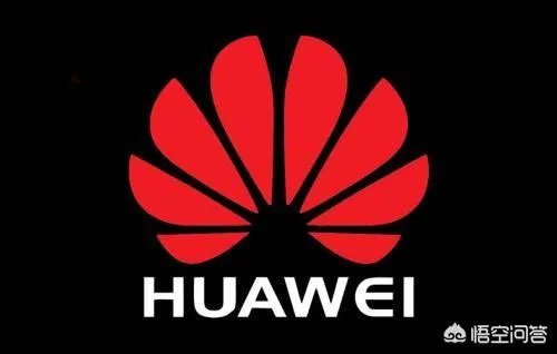 中国最大的私人企业?