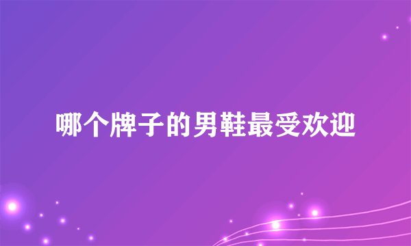 哪个牌子的男鞋最受欢迎
