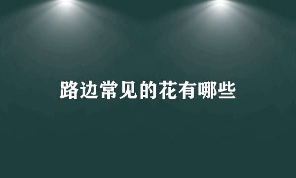 路边常见的花有哪些