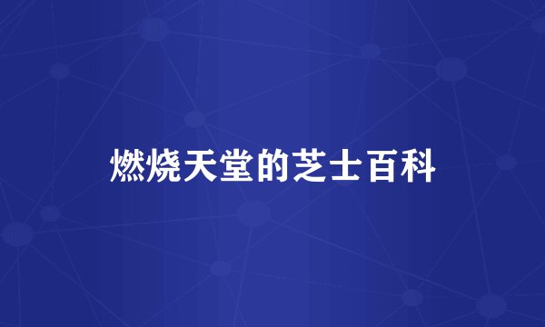 燃烧天堂的芝士百科