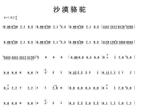 沙漠骆驼简谱