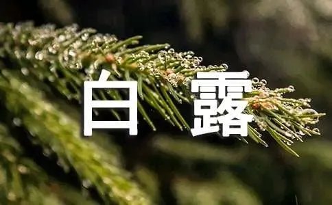 白露的诗句