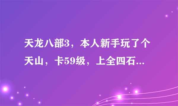 天龙八部3，本人新手玩了个天山，卡59级，上全四石头，全五雕文，怎么打宝石，主要是pK拿壮元，多少钱...