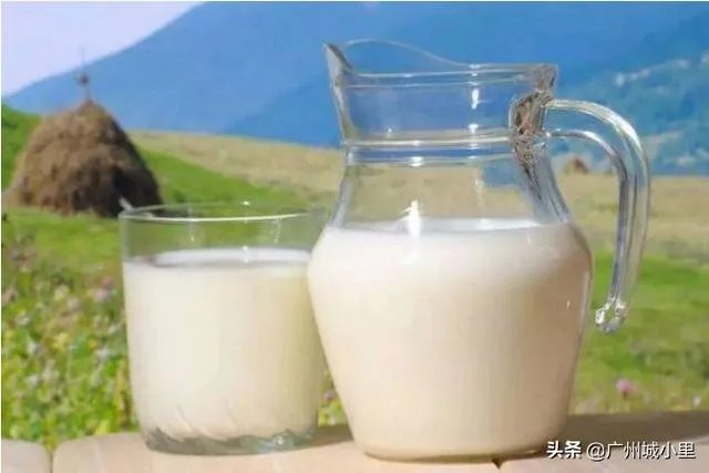 市场上都有哪些常见的牛奶饮品呢?