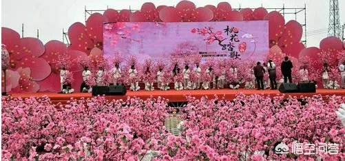 蒋大为唱的那首《在那桃花盛开的地方》,到底是哪个地方?