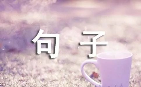 失去才懂得珍惜的句子