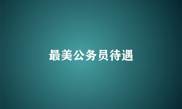 最美公务员待遇