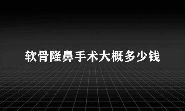 软骨隆鼻手术大概多少钱