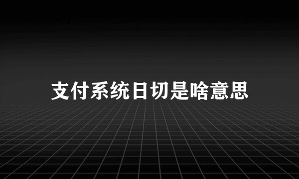 支付系统日切是啥意思